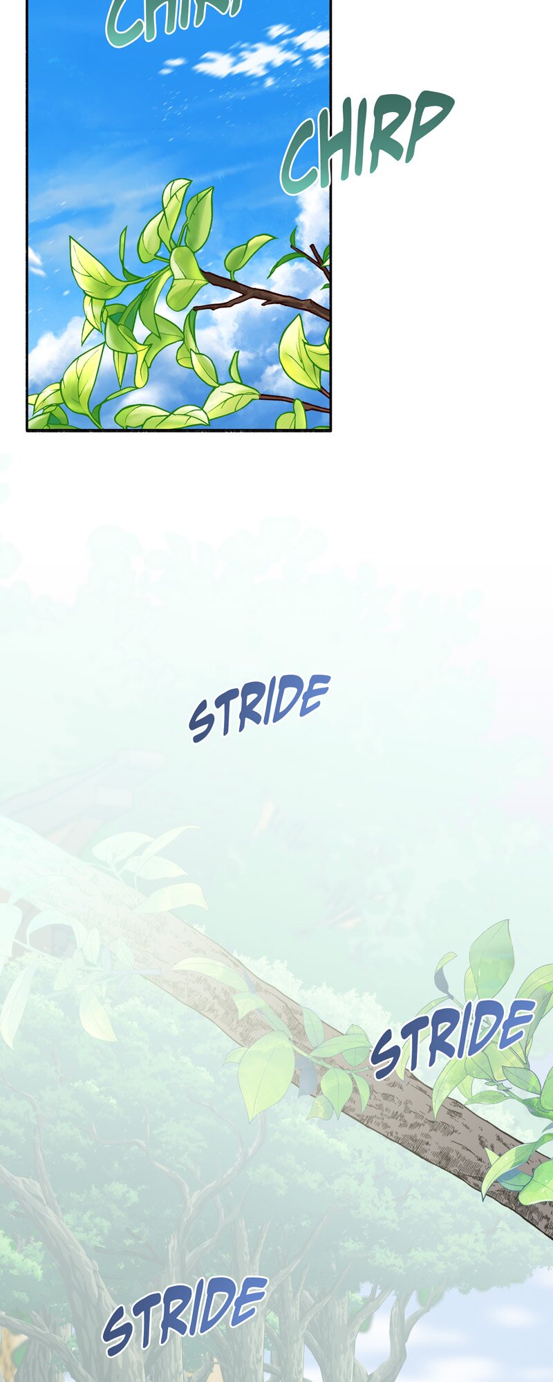 56316627 800 2000 185895