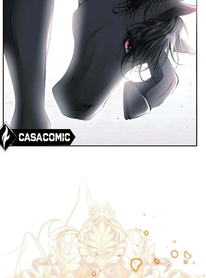 74288278 800 1080 64724